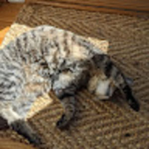 Meet your Posher, Segev